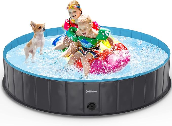 Piscina de perro