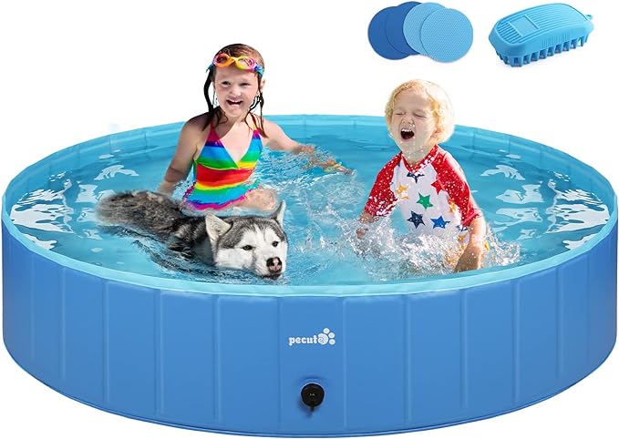 Piscina de perro